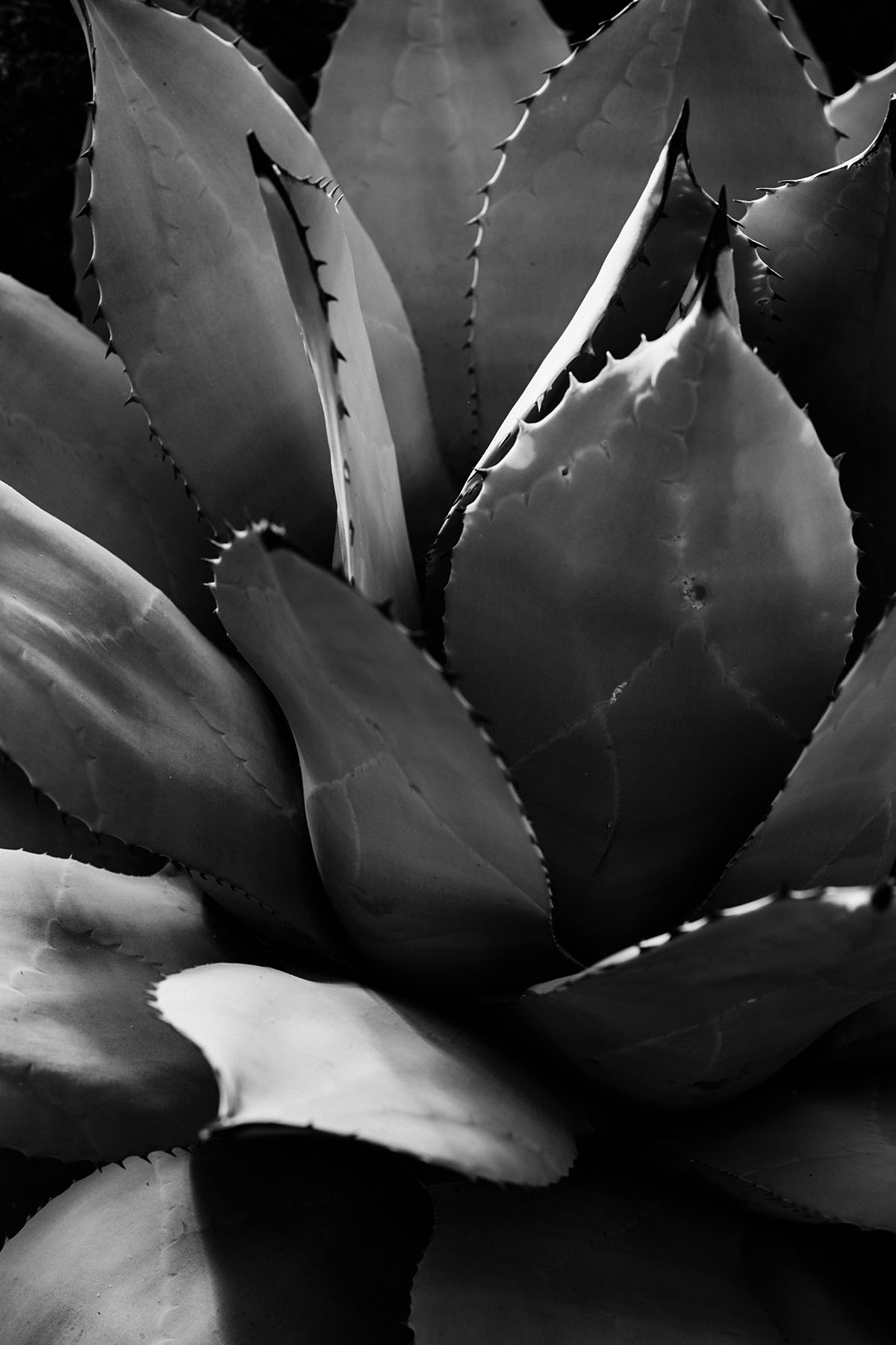 2017Spring&Summer 13